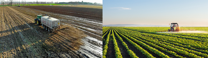 Irrigating Crops